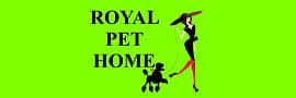 Royal Pet Home Lebanon
