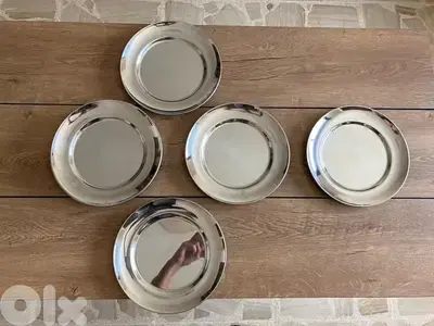 12 Stainless Steel Plates