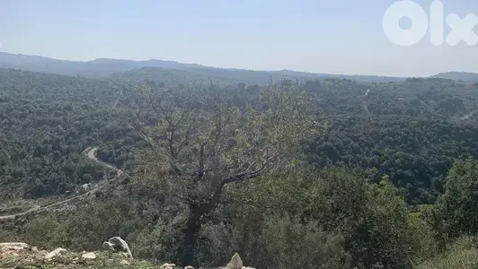 RWB214MT - Land for sale in Obeidat Jbeil ارض للبيع في عبيدات جبيل
