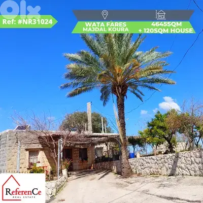 Land with house in wata fares majdal koura ارض مع بيت  في وطى فارس