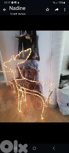 غزلان اوروبي عدد٢