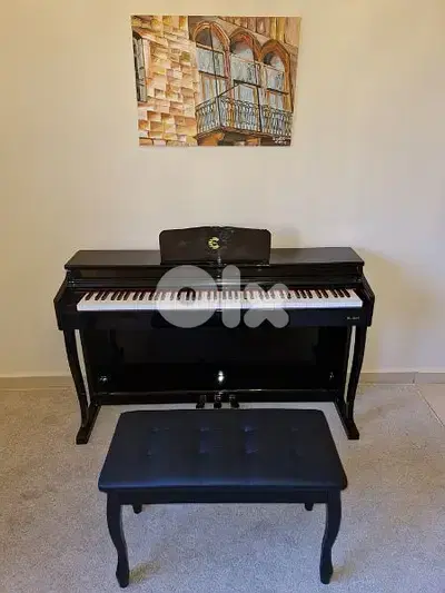 Piano Digital Cpro. New hamer keys 900 voices 70p styles . . .
