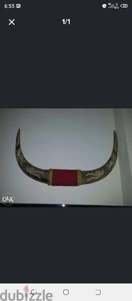 قرن الثور