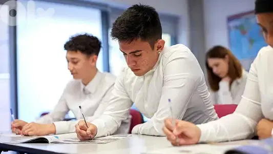 Private teacher for agenda lessons complementary classes