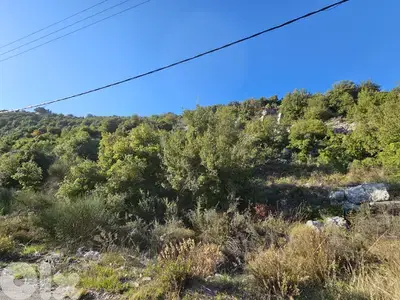 RWB240MT - Land for sale in Lehfed Jbeil ارض للبيع في لحفد جبيل