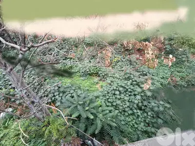 Land for sale in Achrafieh أرض للبيع