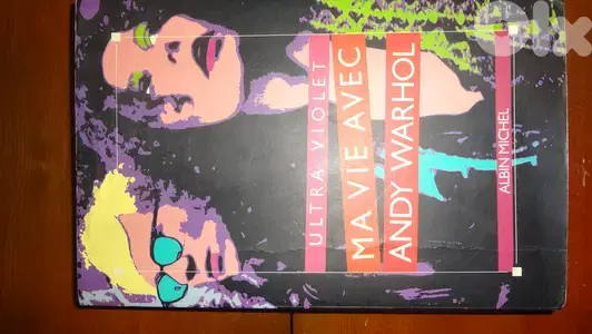 Ma vie avec Andie Warhol book