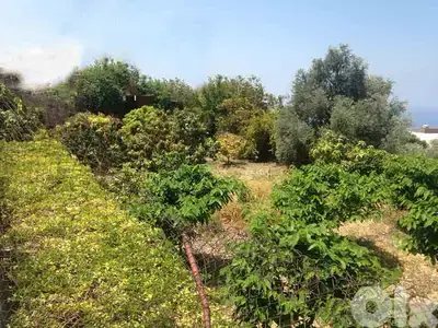 Land in Blat | Unblockable View | أرض للبيع | PLS 25916