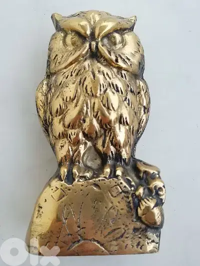 بومة نحاس