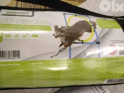 pets accessories