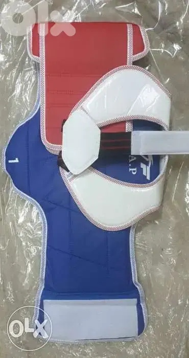 Teakwondo body protector