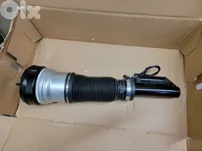 Air Suspension W220