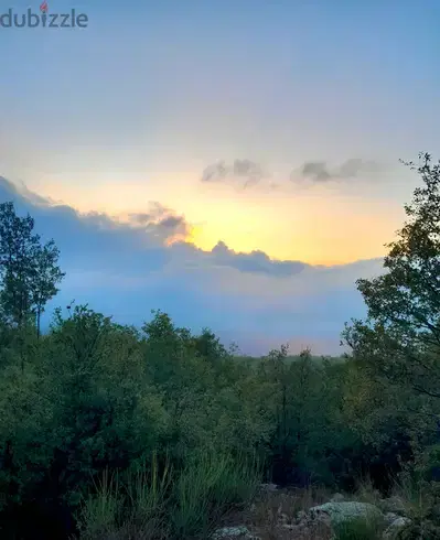 5500 SQM Land with OAK TREES in Tarchich Overlooking the Mountains