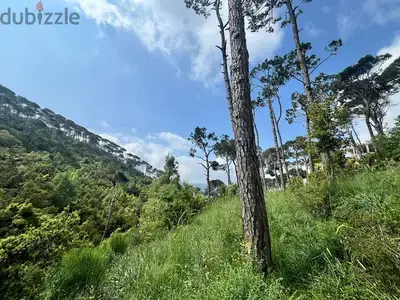 650 Sqm & 750 Sqm | 2 Lands For Sale In Zaroun زرعون | Mountain View