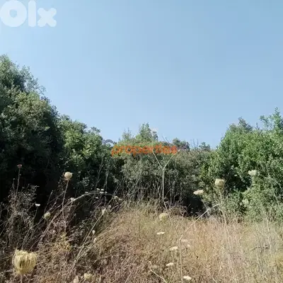Amazing Land for sale in edde jbeil ارض خيالية للبيع في اده CPJRK213