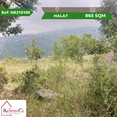 Prime location land in halat أرض بموقع متميز في حالات