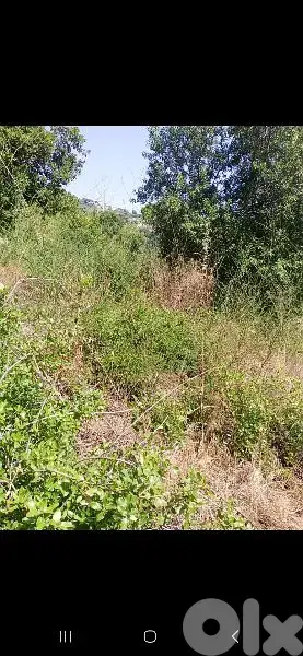 ارض للبيع في دقون land for sale in daoon