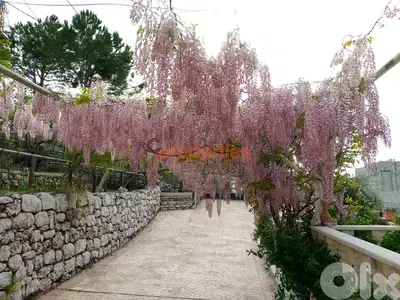Villa for sale in zabbougha  فيلا للبيع في زبوغة CPSM77