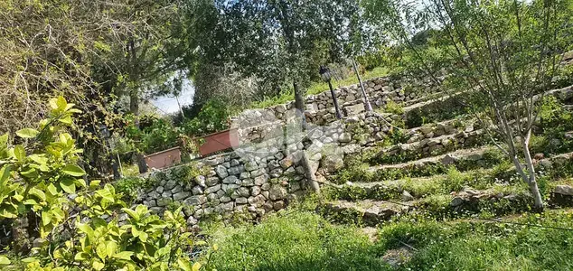 Independent house for rent in Batroun بيت مستقل للايجار في بترون