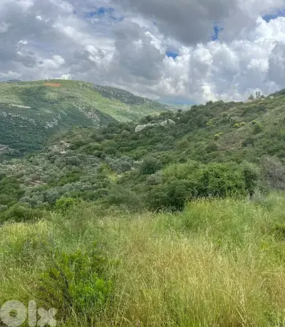 1235 Sqm | Land For Sale In Ammik ارض للبيع في عميق الشوف