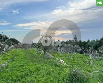 Panoramic view, clam area,Jbeil, berbara/ البربارة REF#NE100202