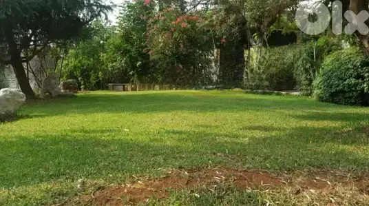 LUXURY HUGE 800 SQ APARTMENT + GARDEN IN MONTEVERDE, RRR-043