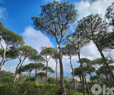 Stunning land for sale in Dahr el sawan | shalimar