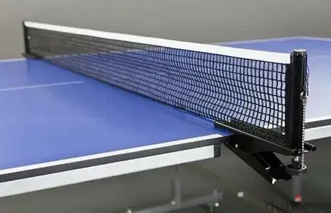 Ping pong stand with net