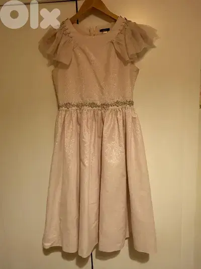 Pink shiny dress