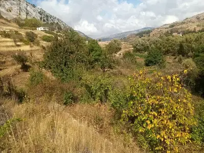RWB123PK - Land for sale in Laklouk Jbeil
