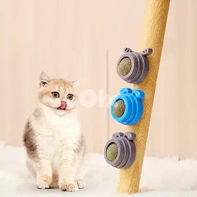 Cat Nip