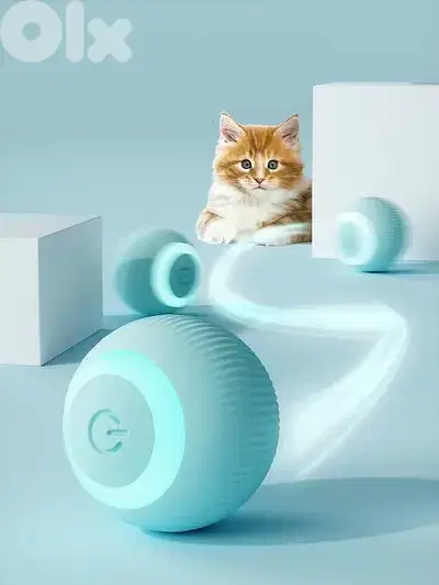 Smart Cat Ball
