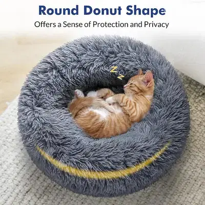 Plush Sofa