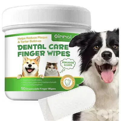 Dental Care Organic Pet Glove Wipes