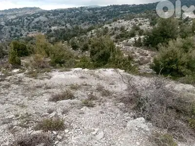 ارض للبيع في جبيل مشمش land for sale in jbeil