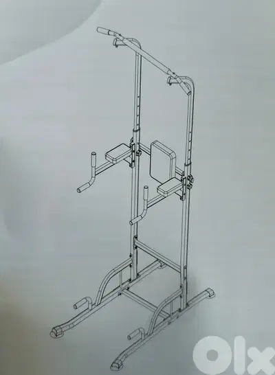 Chin Dips
