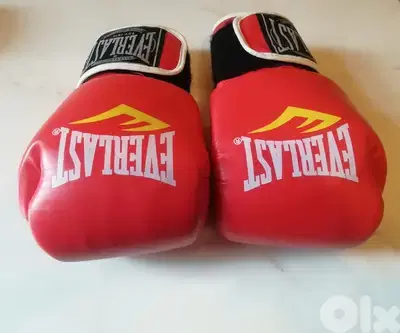 Everlast boxing gloves 10 oz
