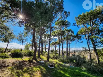 EASY SLOPE ! Land for sale in Dhour el choueir