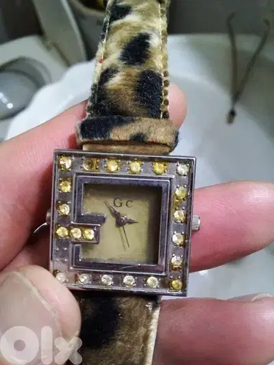 GC watch