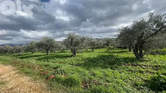 RWB100SN - Land for sale in Kousba el Koura