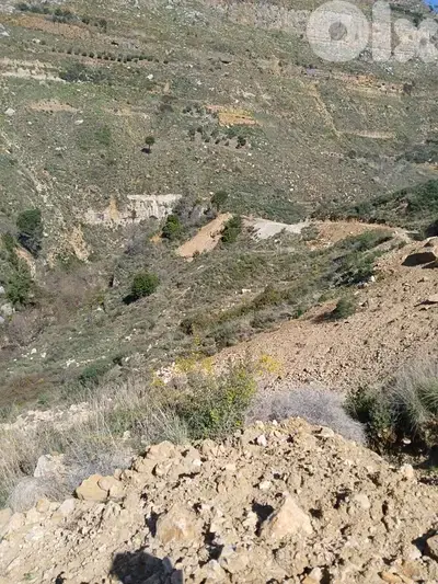 ارض للبيع في الرملية عاليه land for sale in rmlye aley