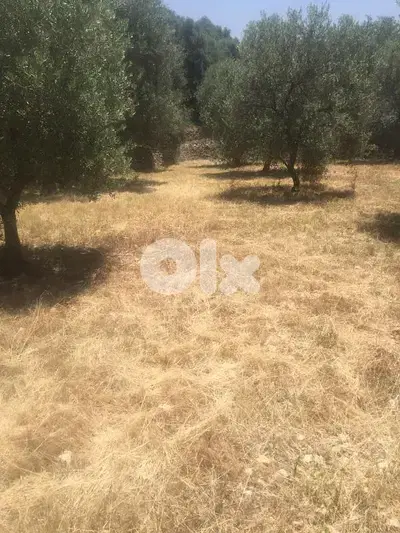 land 9500sqm for sale in deir El kamar