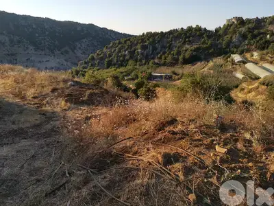 Land For Sale in Ehmez أرض للبيع في إهمز