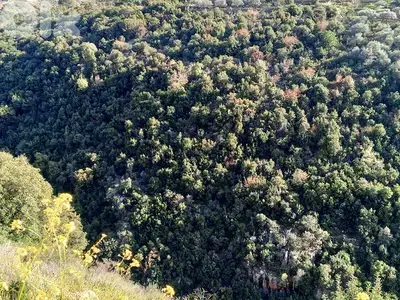A 10,893 SQM Land for sale in Batroun-Helta - أرض للبيع في البترون