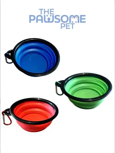 Pawsome's Collapsible Bowl