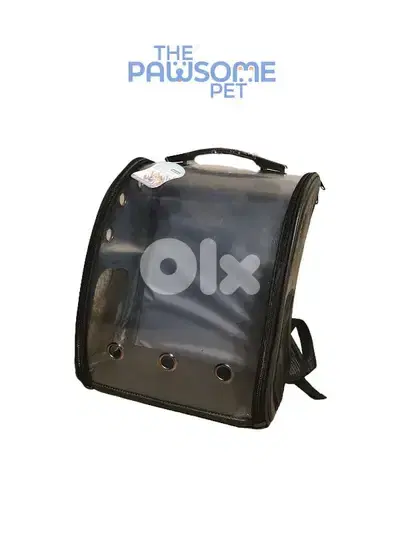 Pawsome's transparent bag