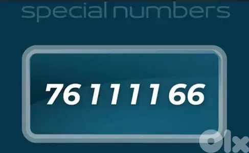 alfa golden number ( جاهز للنقل بالشركة)