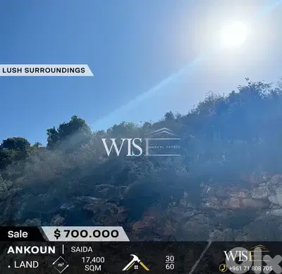 Prime 17400 SQM Land for SALE in Ankoun -Saida !