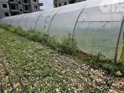 RWB301EA - Land for sale in Safra on the sea side