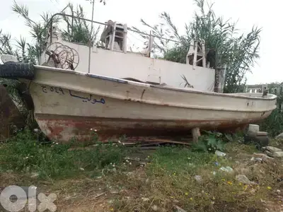 شختوره صيد سمك